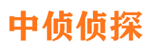 平陆市婚姻调查